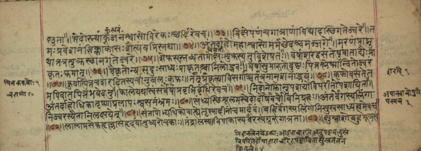 A Mādhavanidāna page describing fever located in bone and marrow, dense with Devanagari text.