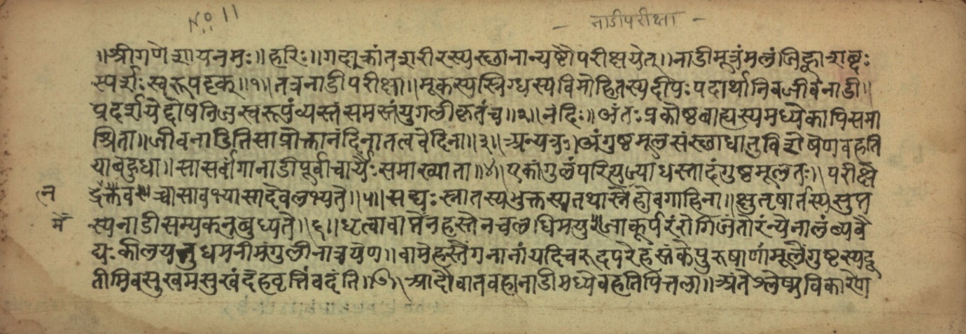 Opening of the Nāḍīparīkṣā on the life-artery and the eight examinations