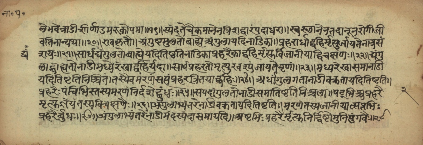 Page of the Nāḍīparīkṣā on pulse positions that foretell death