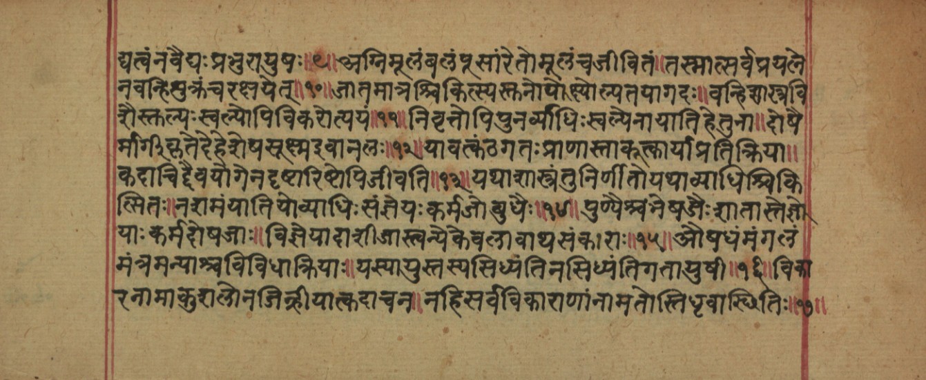 Page of the Nāḍīparīkṣādi Aṣṭaparīkṣā on protecting the digestive fire and treating early