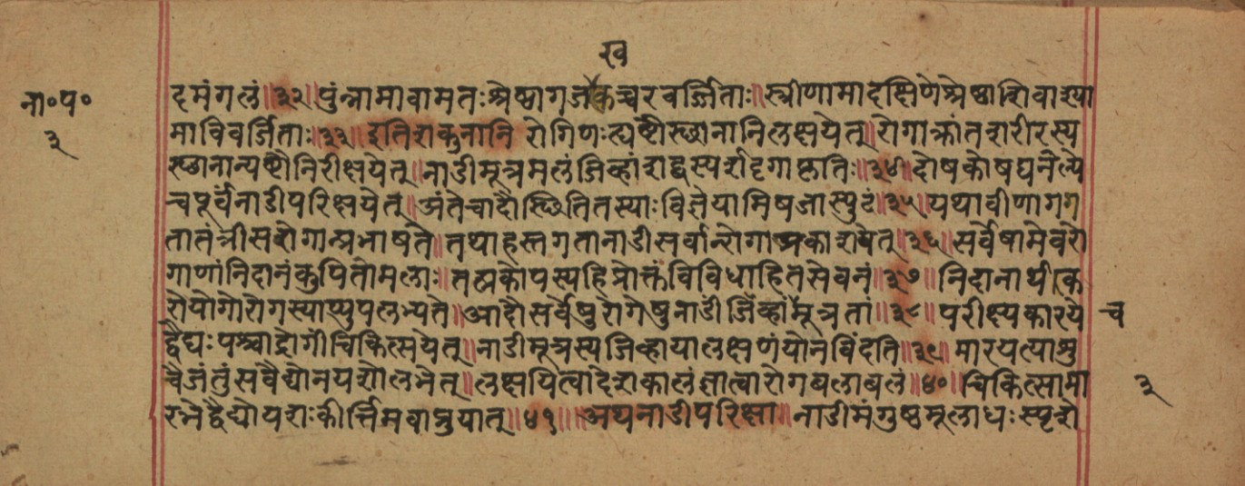 Page of the Nāḍīparīkṣādi Aṣṭaparīkṣā listing the eight examination sites