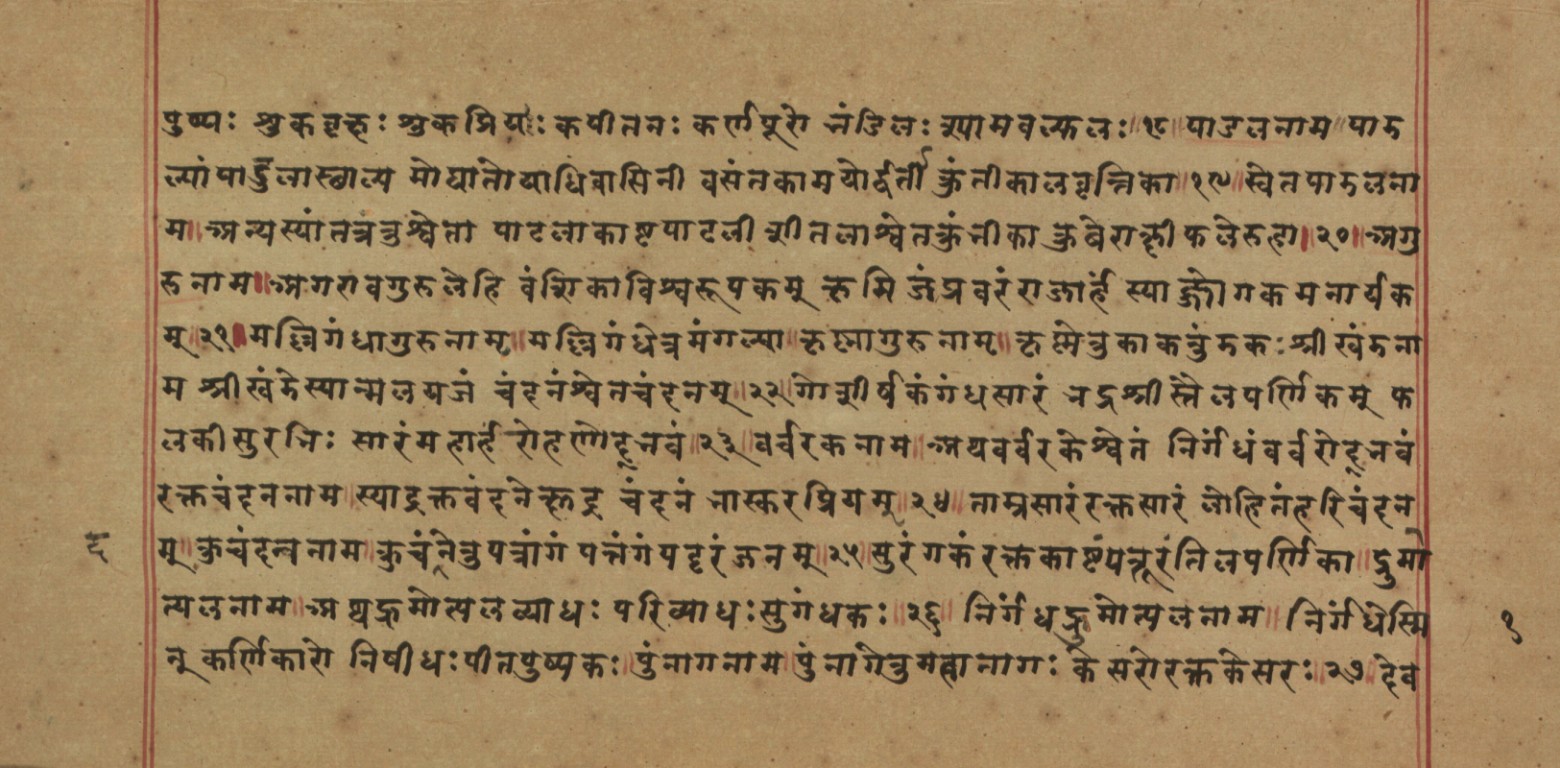 Page of the Nighaṇṭuśeṣa listing synonyms of medicinal trees and woods