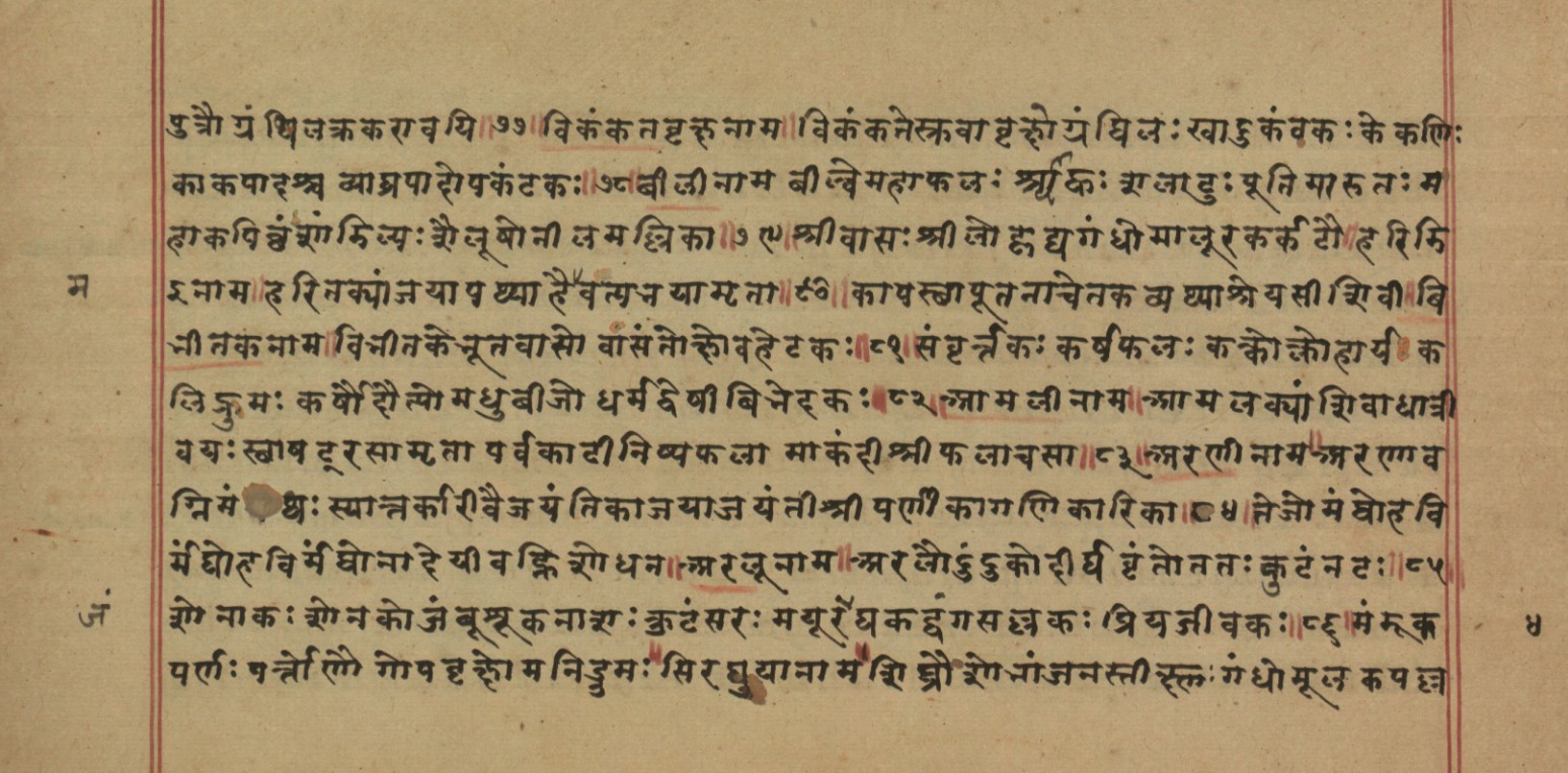 Page of the Nighaṇṭuśeṣa listing names of bael, myrobalans, and amla
