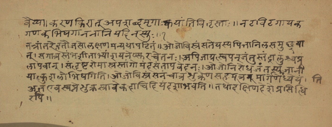 Page of the Pathyāpathyānighaṇṭa on diminished vitality and diet