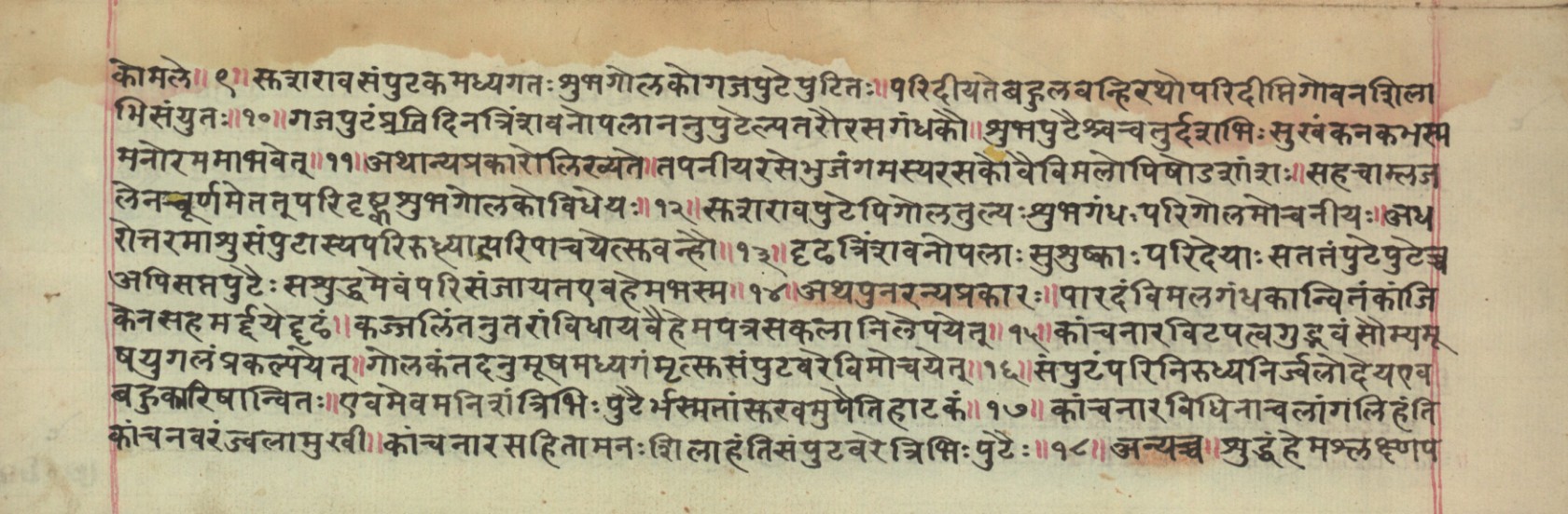 Rasamuktāvalī, page 4