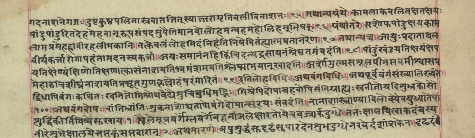 Rasamuktāvalī, page 14