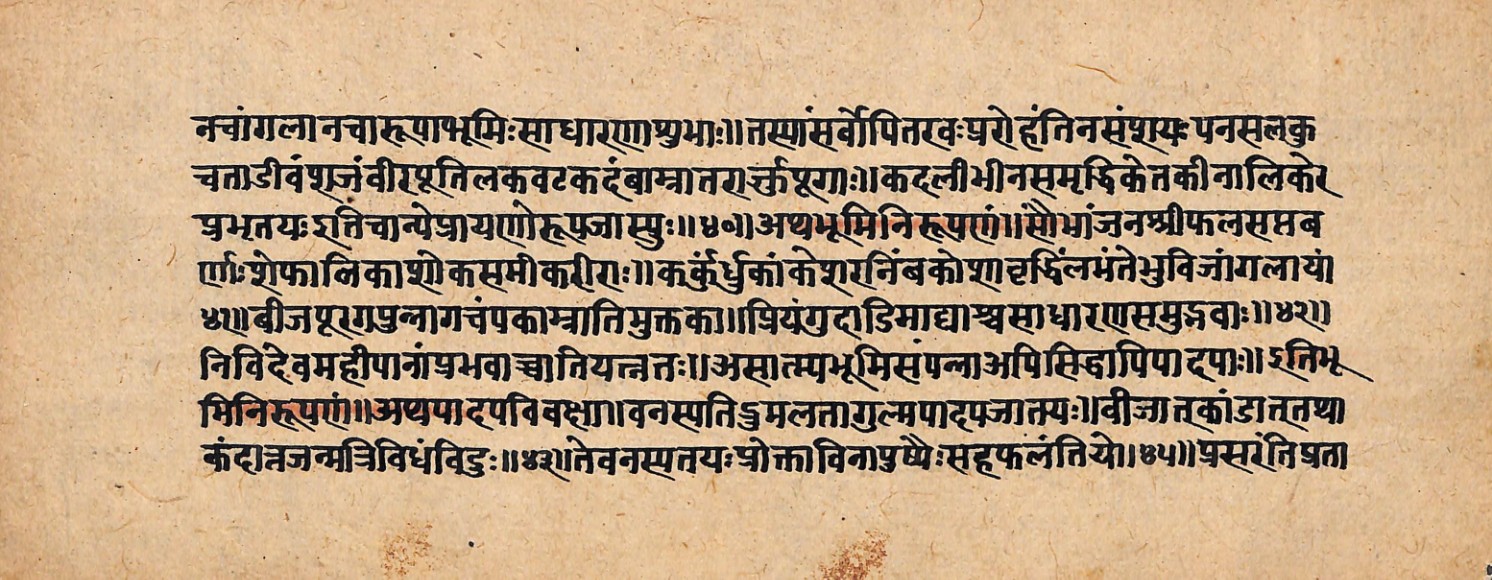 Upavanavinoda, page 8