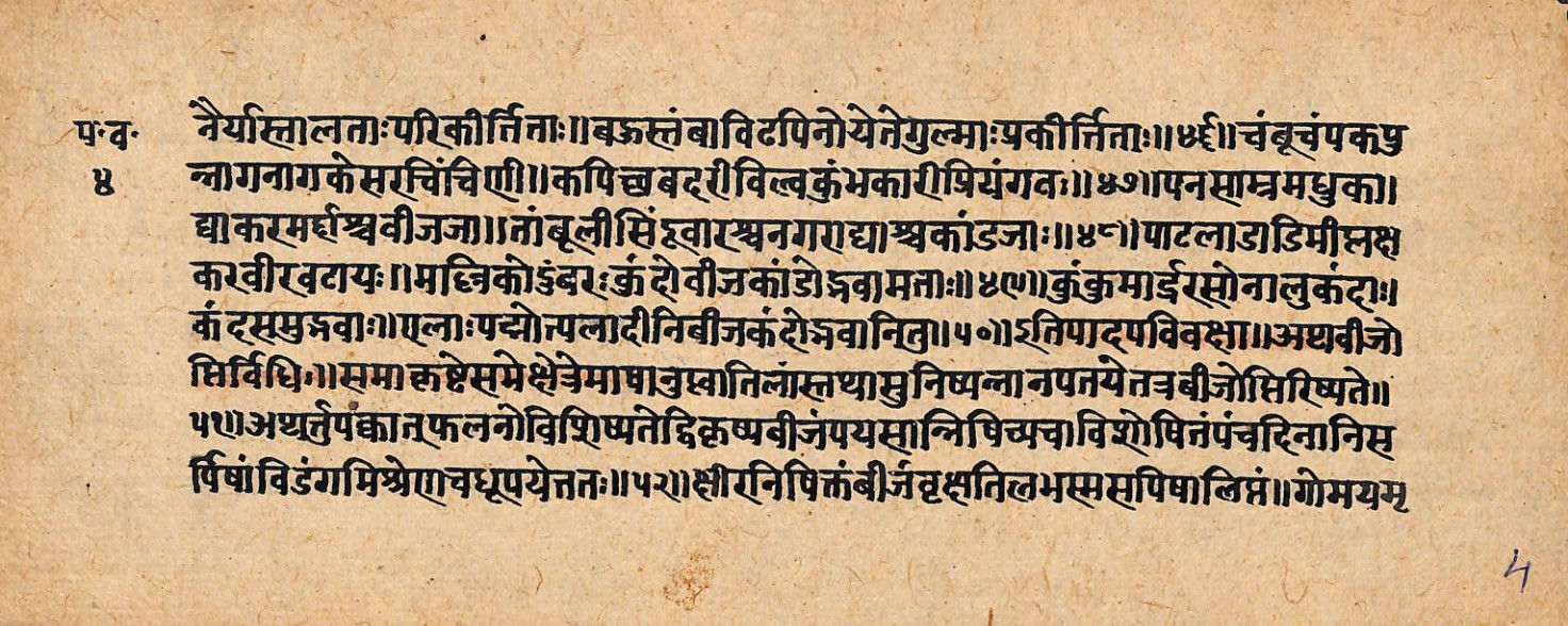 Upavanavinoda, page 9