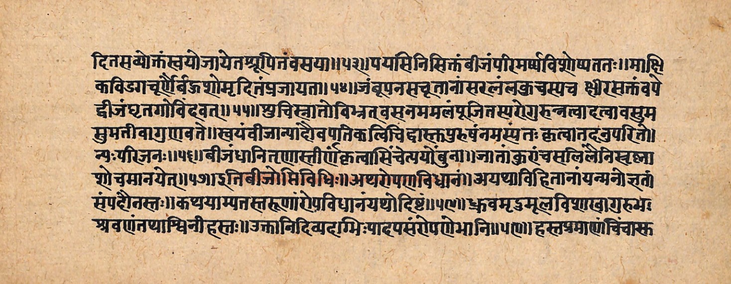 Upavanavinoda, page 10