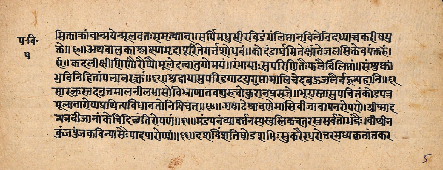 Upavanavinoda, page 11