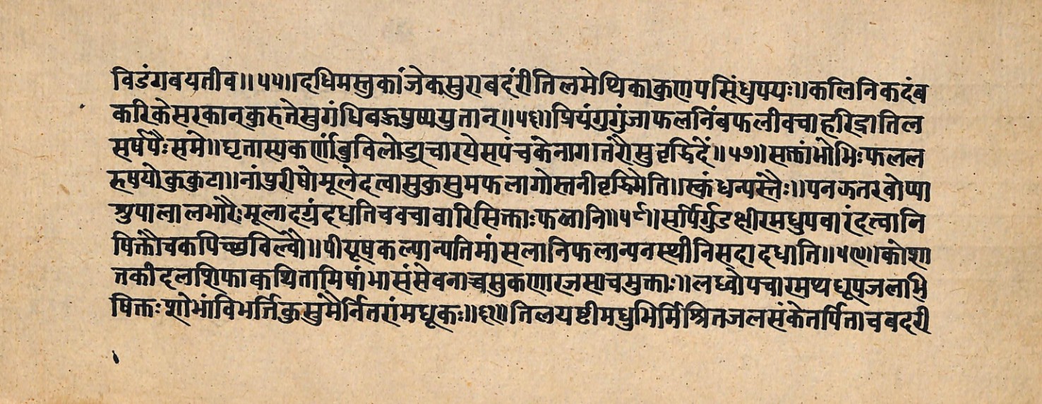 Upavanavinoda, page 24