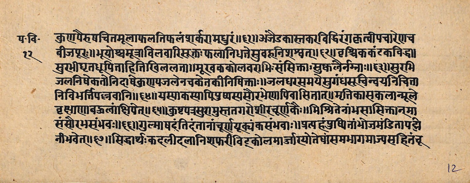 Upavanavinoda, page 25