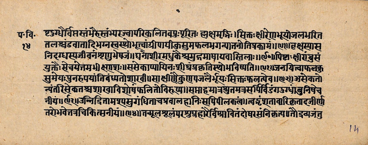 Upavanavinoda, page 29