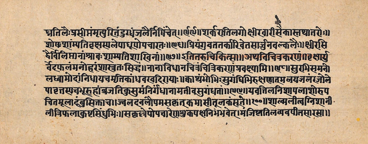 Upavanavinoda, page 30