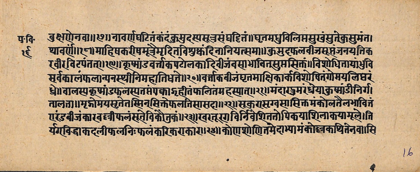 Upavanavinoda, page 33