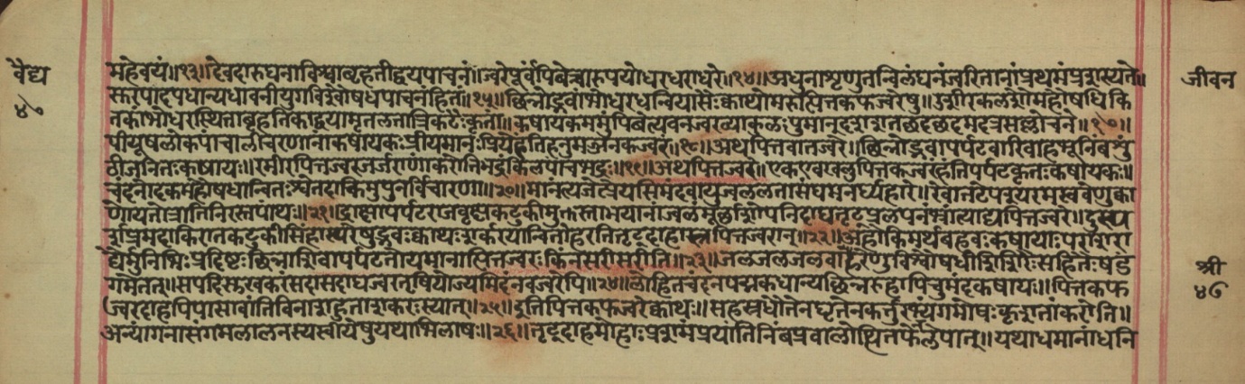 Vaidyajīvana, page 2