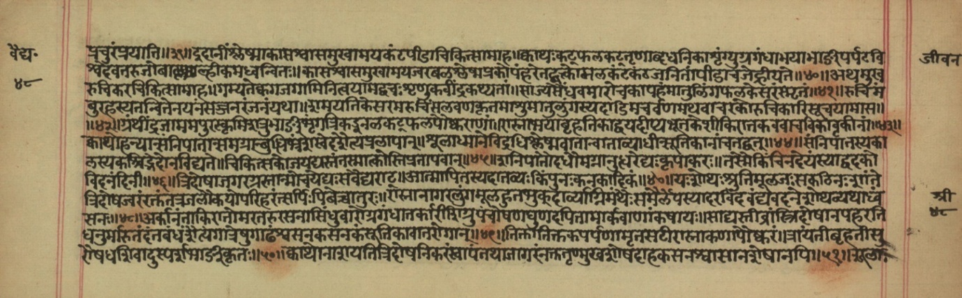 Vaidyajīvana, page 4