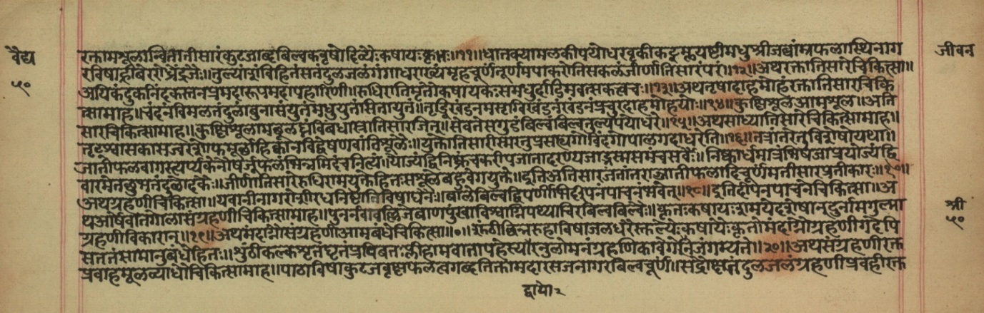 Vaidyajīvana, page 8