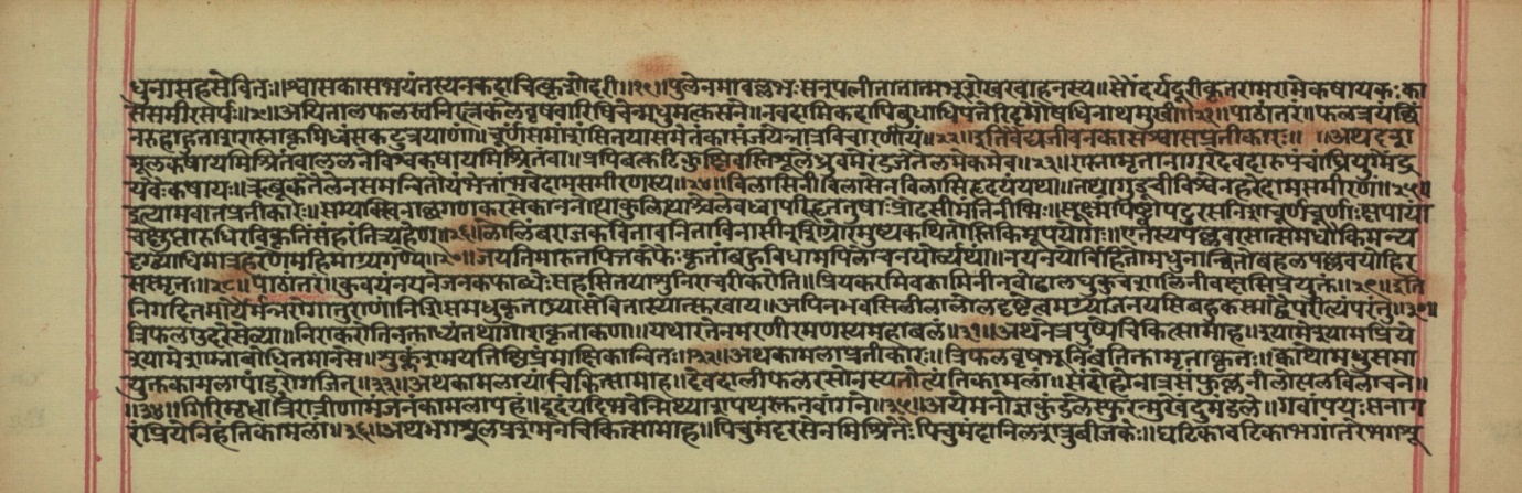 Vaidyajīvana, page 11