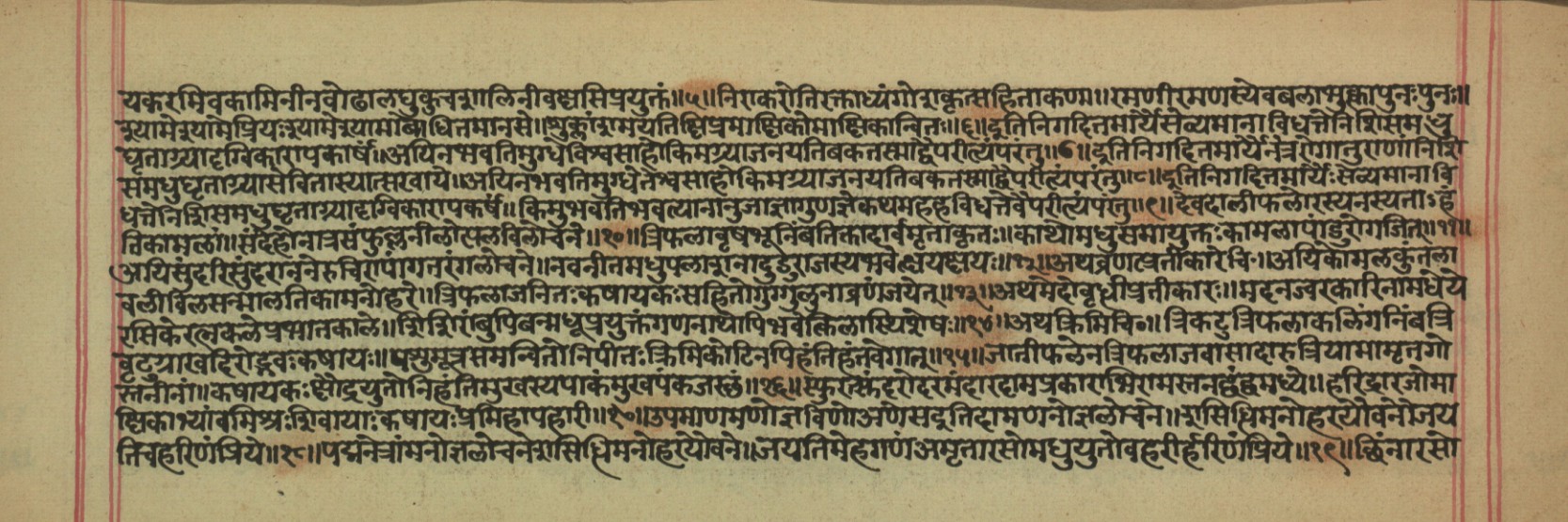 Vaidyajīvana, page 13