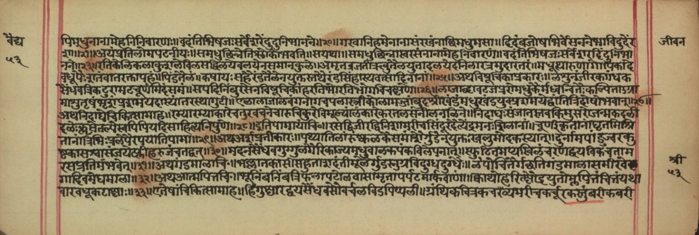 Vaidyajīvana, page 14