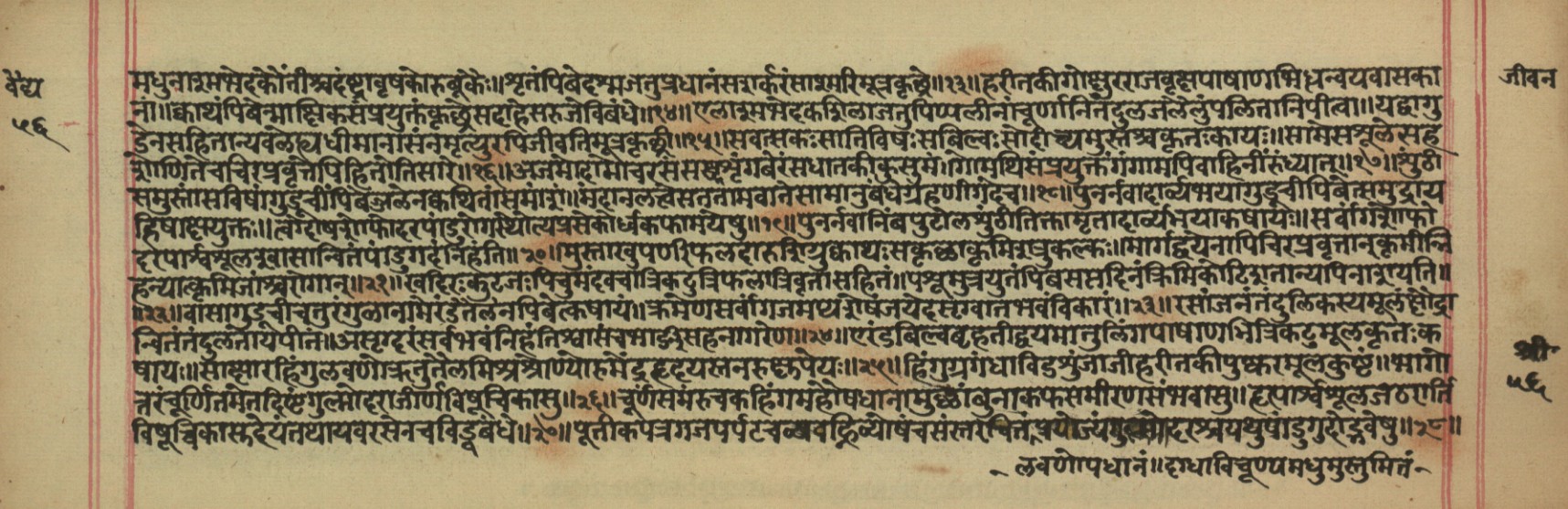 Vaidyajīvana, page 19