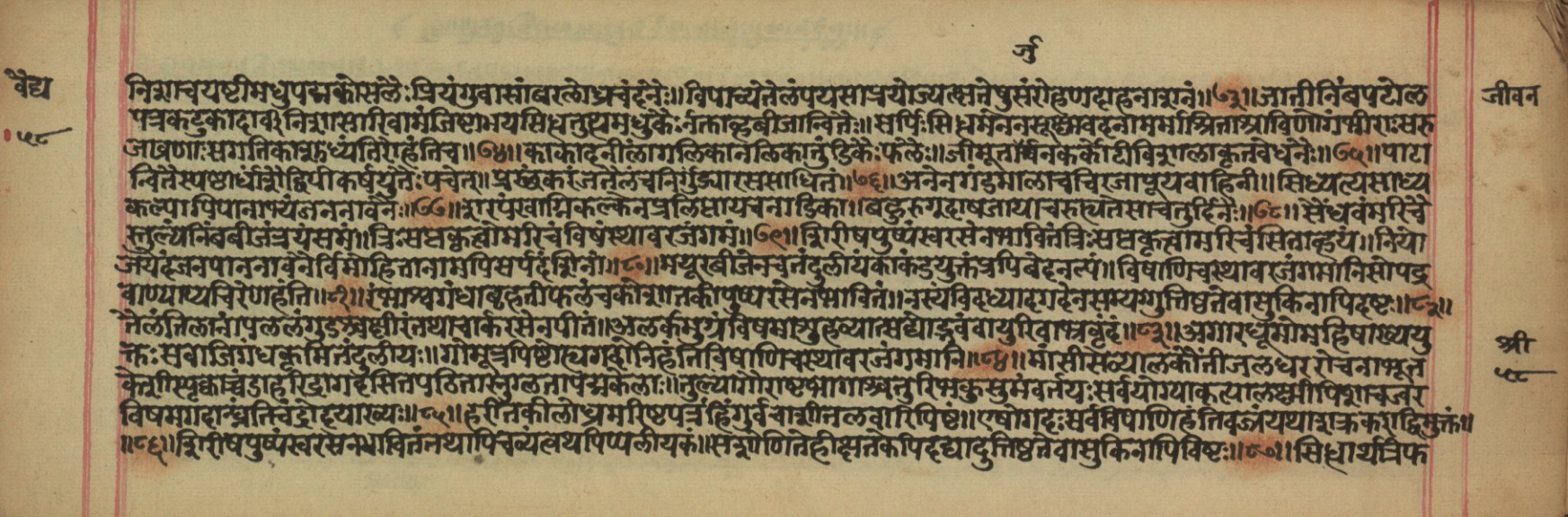 Vaidyajīvana, page 22