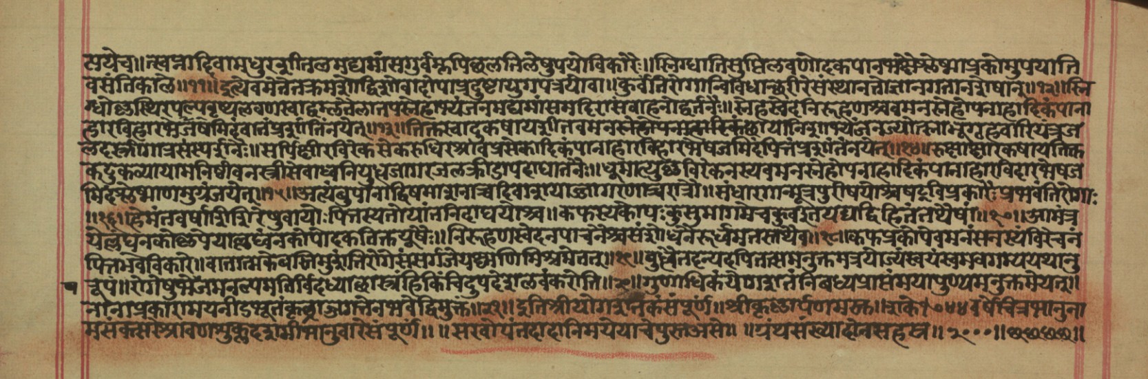 Vaidyajīvana, page 25