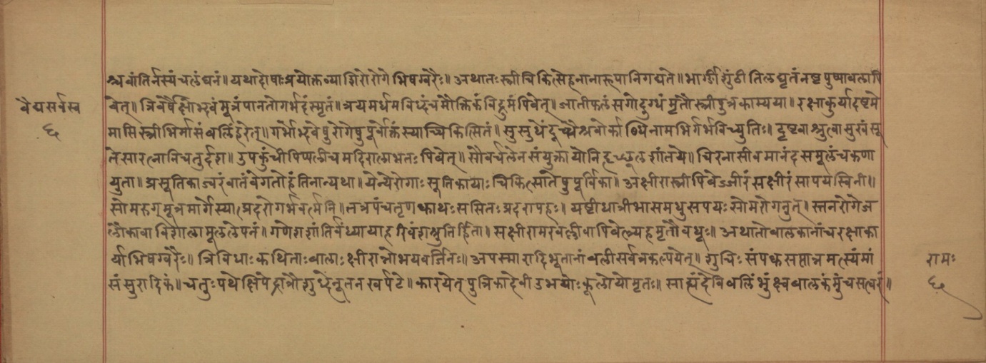 Vaidyasarvasvagrantha, page 13
