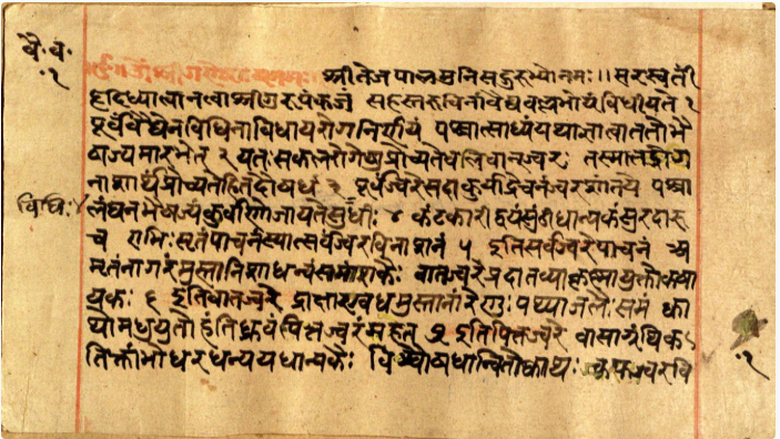 Vaidyavallabha, page 3