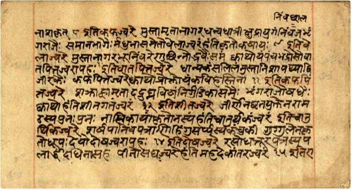 Vaidyavallabha, page 4