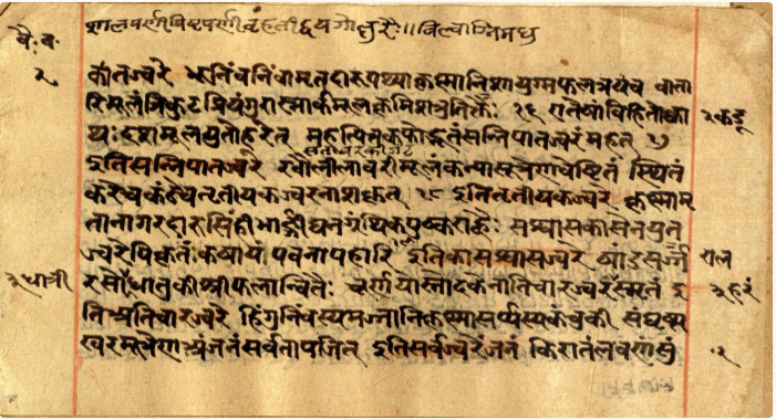 Vaidyavallabha, page 5