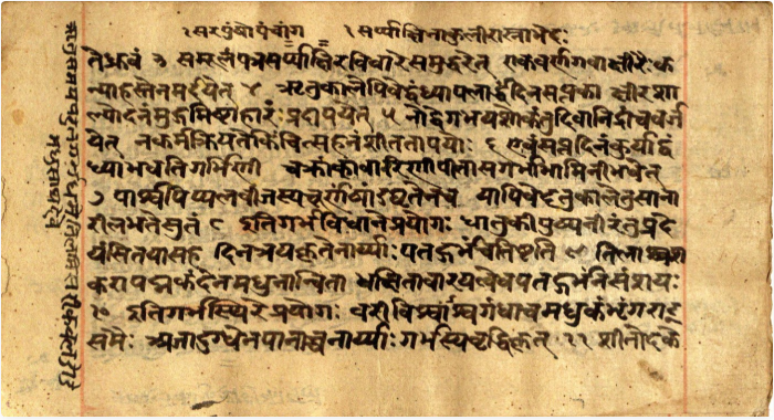 Vaidyavallabha, page 8