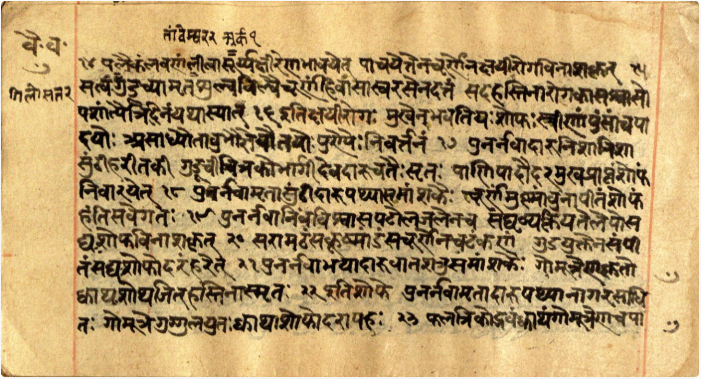 Vaidyavallabha, page 13