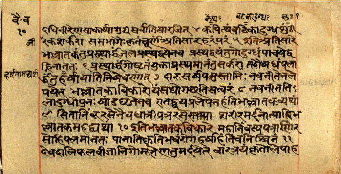 Vaidyavallabha, page 19
