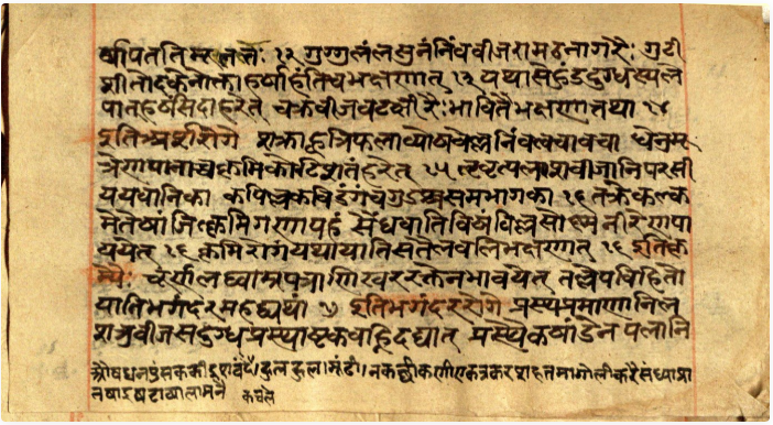 Vaidyavallabha, page 20