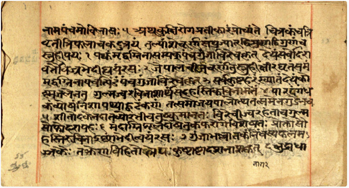 Vaidyavallabha, page 22