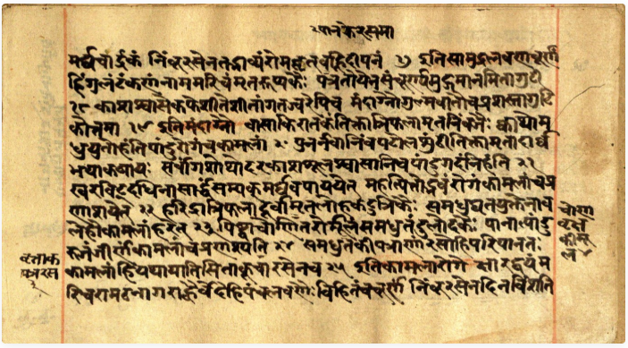 Vaidyavallabha, page 24