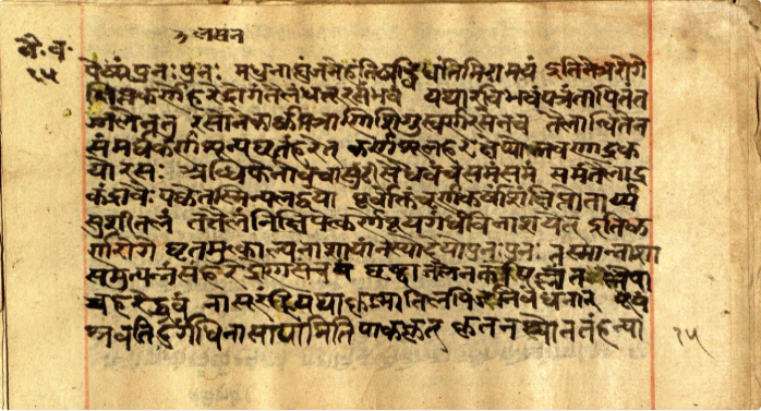 Vaidyavallabha, page 29