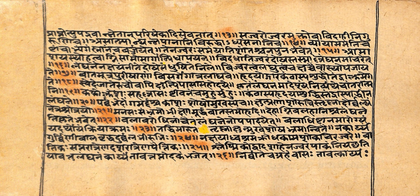 Vaidyarahasya, page 6