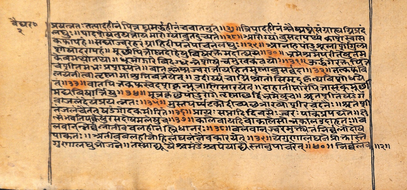 Vaidyarahasya, page 7