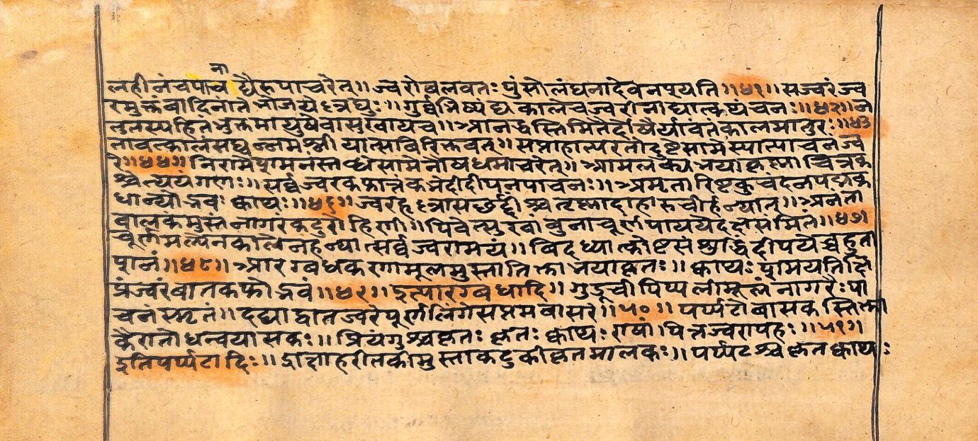 Vaidyarahasya, page 8