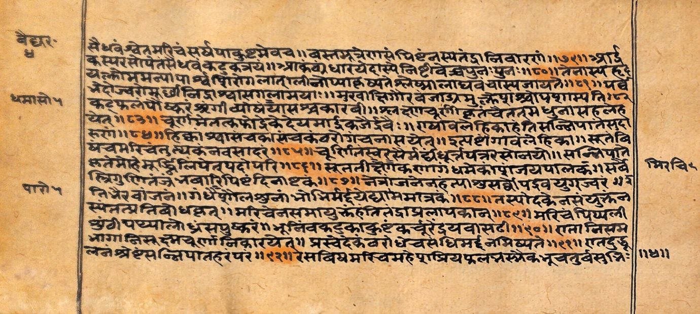 Vaidyarahasya, page 11