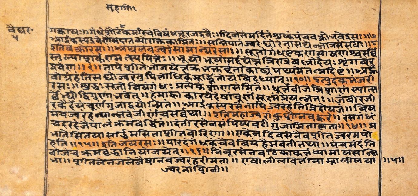 Vaidyarahasya, page 13