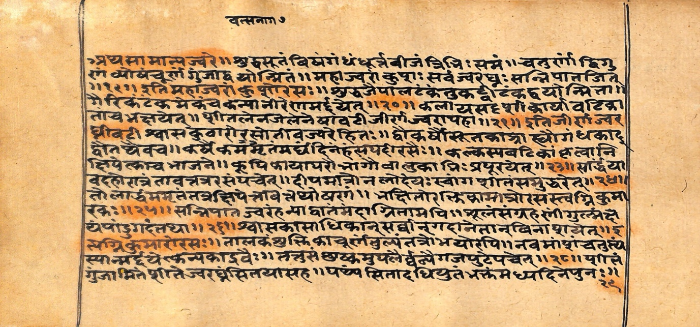 Vaidyarahasya, page 14
