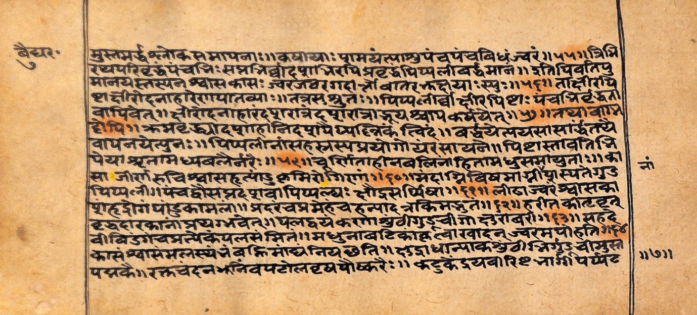 Vaidyarahasya, page 17
