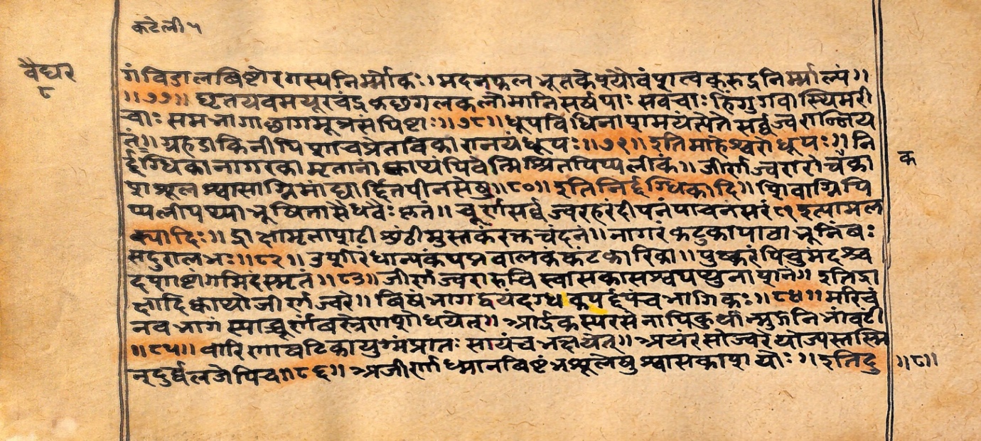 Vaidyarahasya, page 19