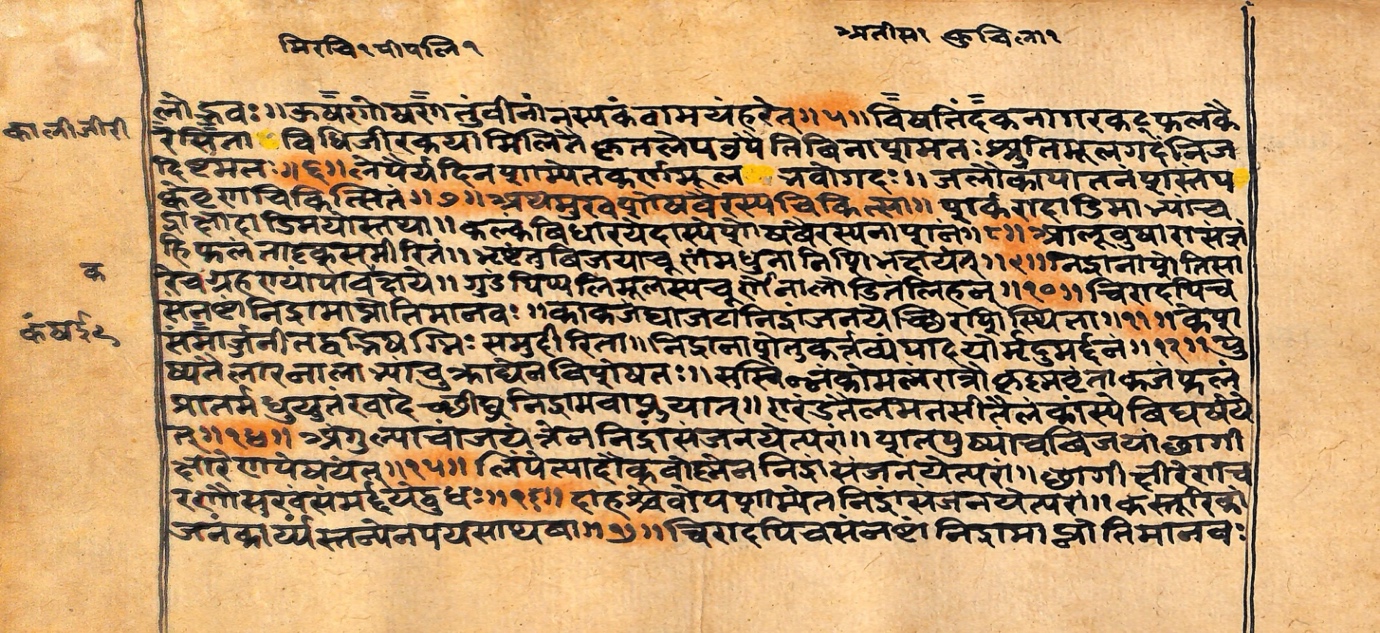 Vaidyarahasya, page 20