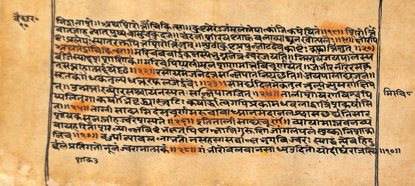 Vaidyarahasya, page 21