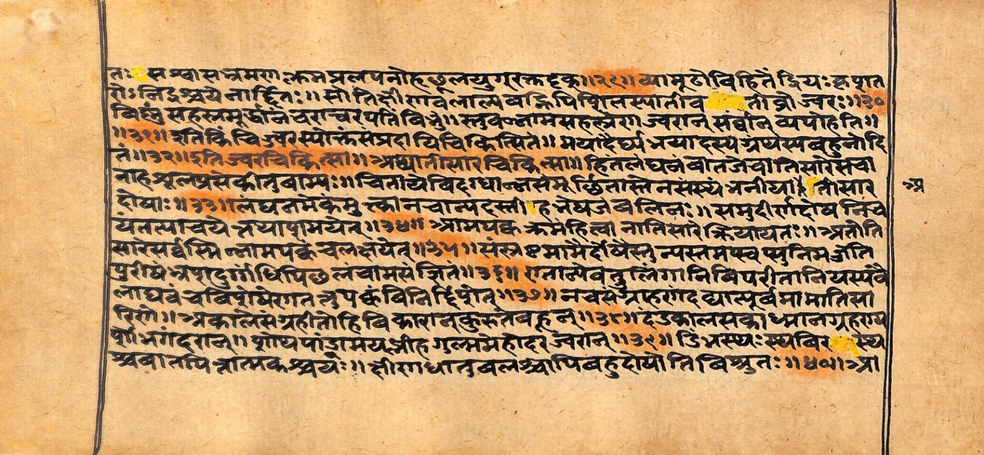 Vaidyarahasya, page 22
